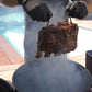 Asador vertical compacto – carne cocinándose en barril Junior al carbón